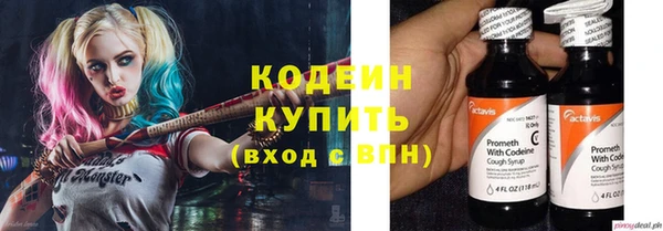 дмт Бородино