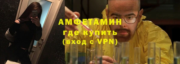 дмт Бородино