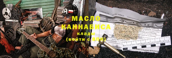 дмт Бородино