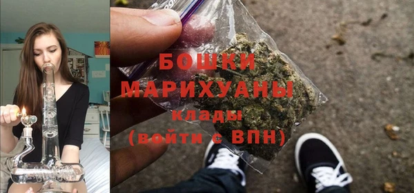 прущие крисы Бронницы