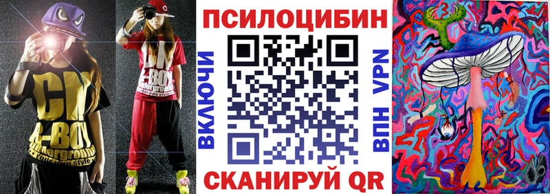 дарнет шоп  Чита  Псилоцибиновые грибы мицелий 
